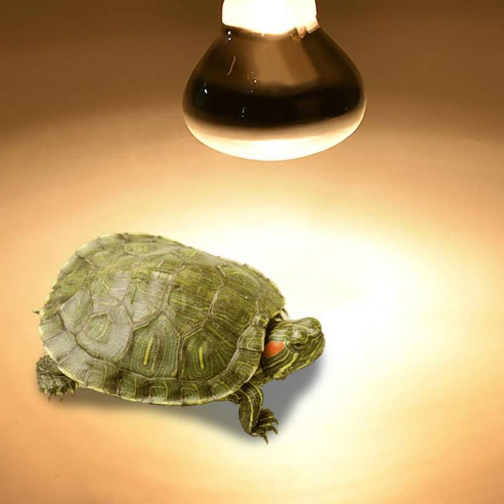 Basking Bulb Halogen - Lampu Pemanas Kadal Lampu UVA Lampu