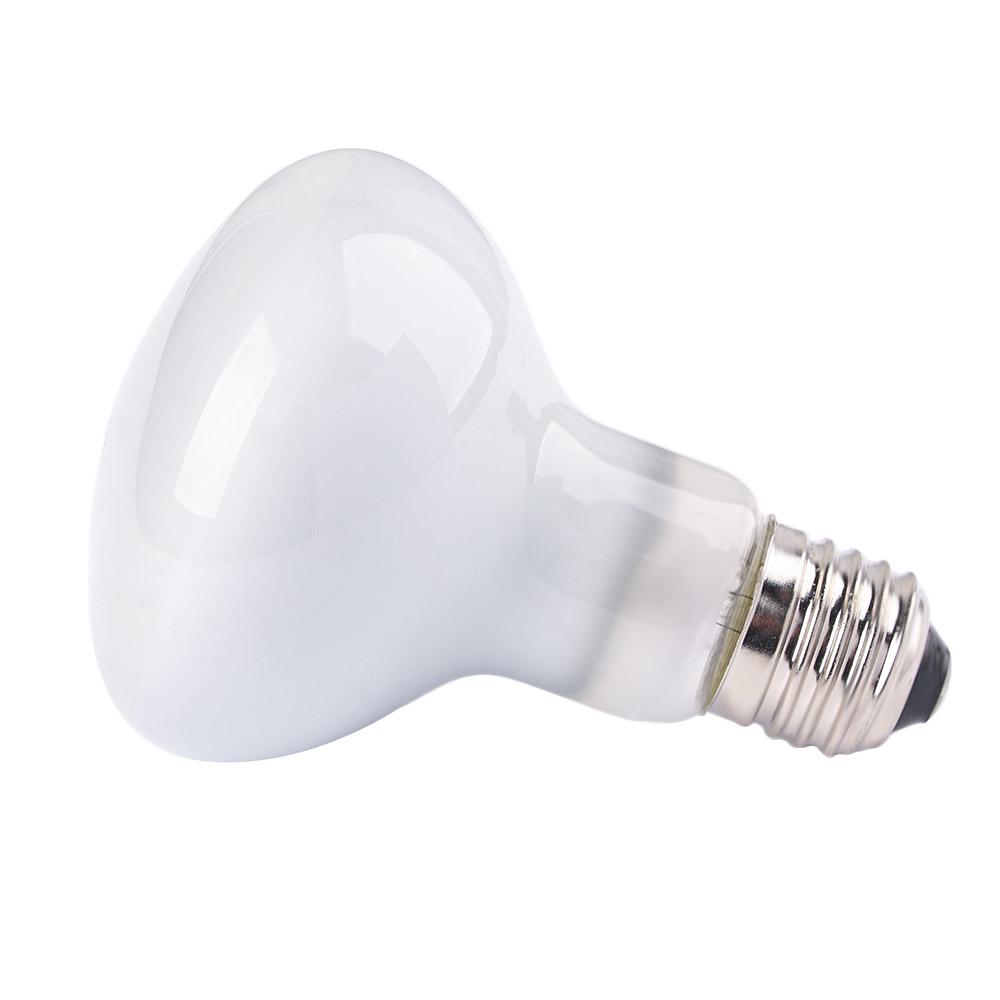 Basking Bulb Halogen - Lampu Pengontrol Suhu Kadal, Lampu Halogen,