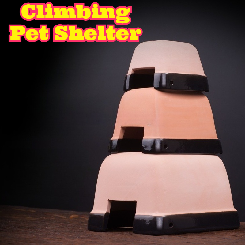 Hide Cave Ceramic - Gua Keramik Penambah Kelembapan untuk Reptil,