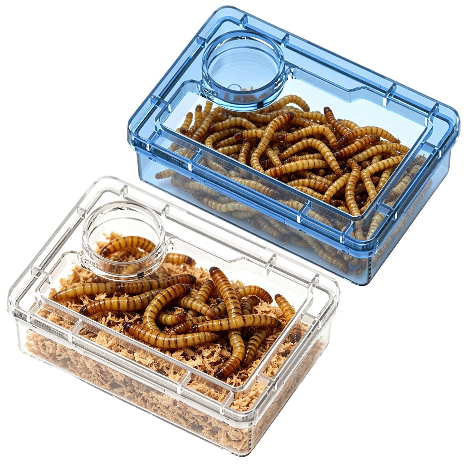 Calcium Powder Reptile - Tempat Makan Reptil Anti Lepas dengan