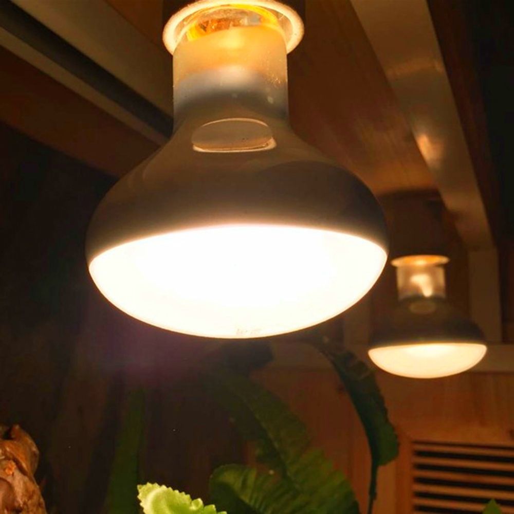 Basking Bulb Halogen - Lampu Pengontrol Suhu Kura-kura Lampu Pemanas