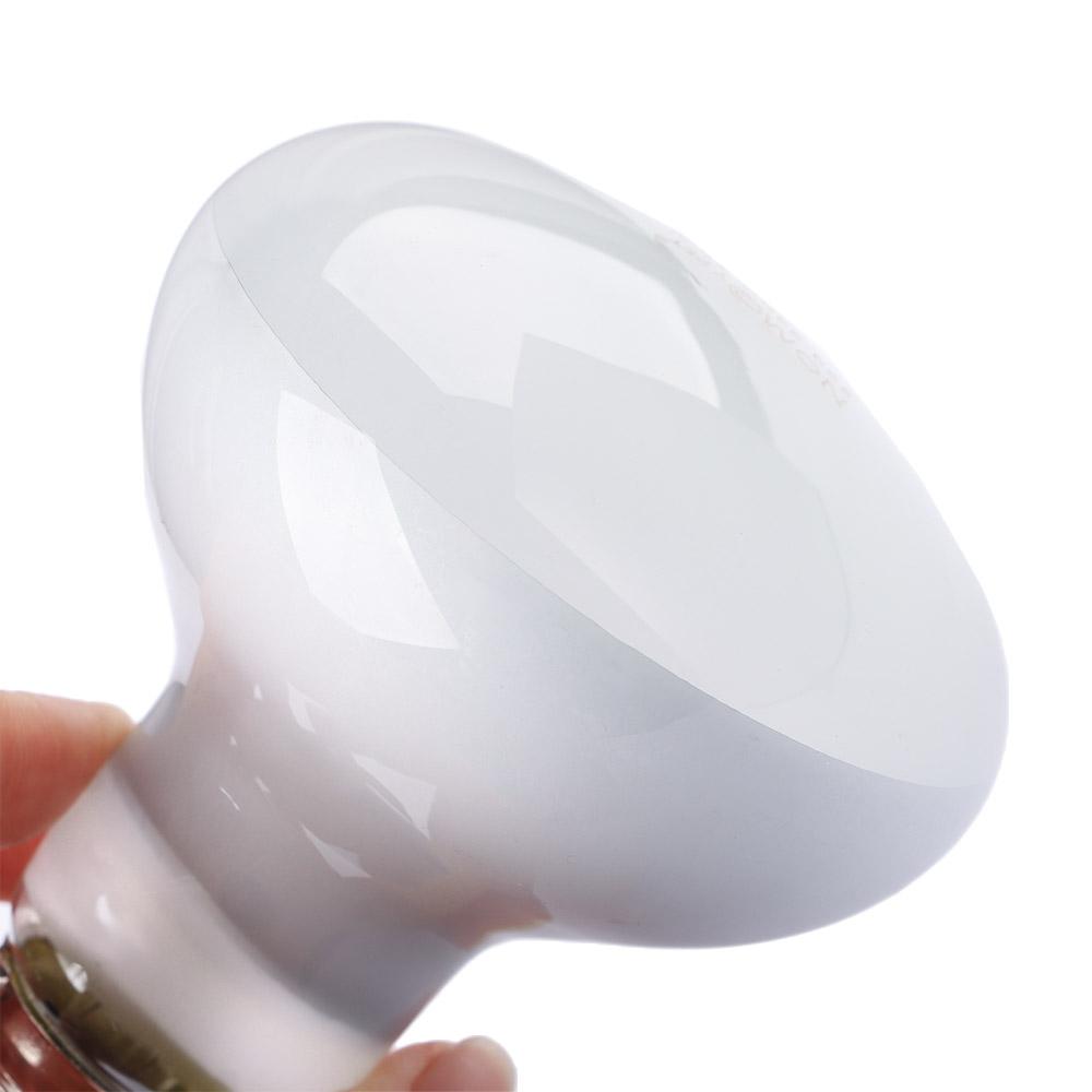 Basking Bulb Halogen - Pengontrol Suhu Pemanas Kura-kura Lampu Pemanas