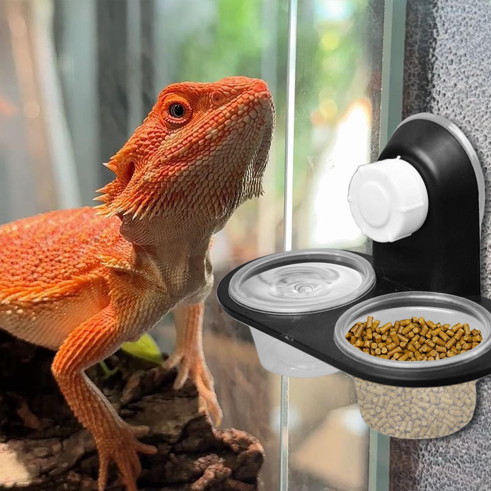 Water Dish Reptile - Tempat Makan dan Minum Gecko dengan
