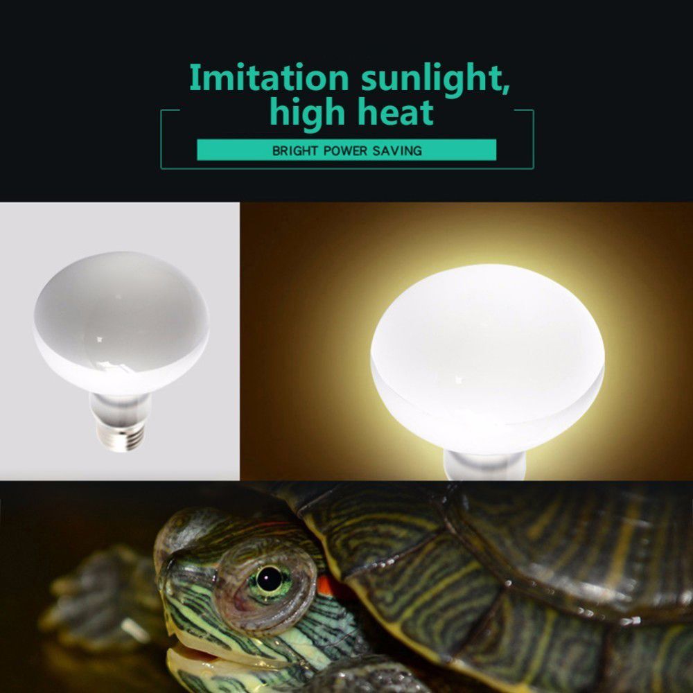 Basking Bulb Halogen - Pengontrol Suhu Pemanas Kura-kura Lampu UVA