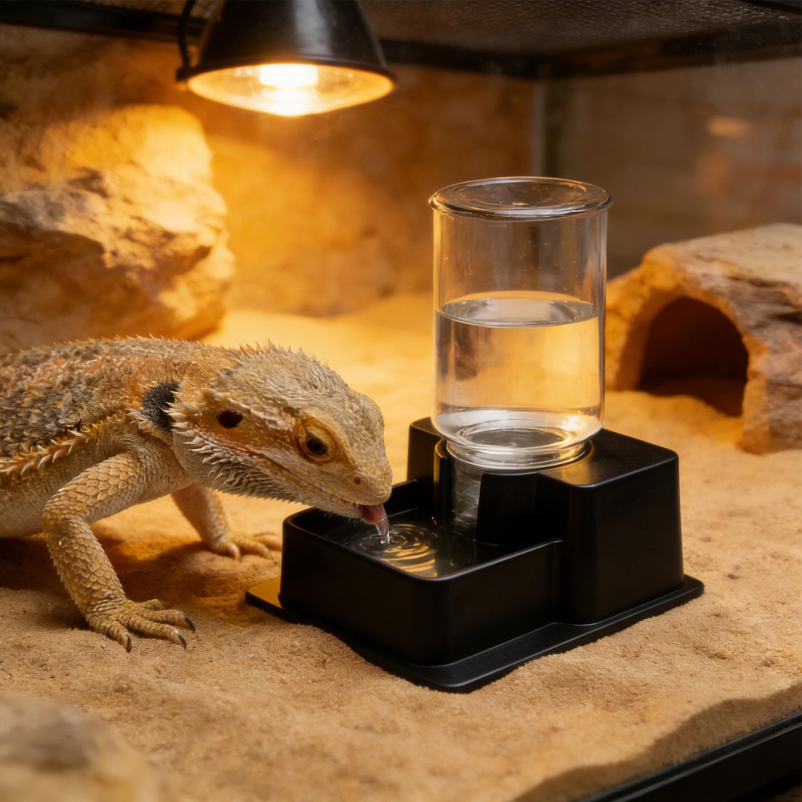 Water Dish Reptile - Tempat Minum Otomatis untuk Reptil, Bearded