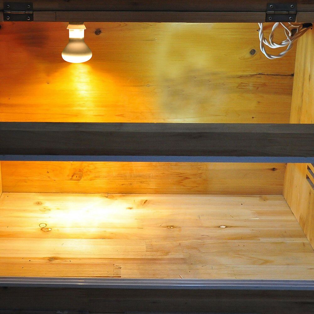 Basking Bulb Halogen - Pengontrol Suhu Pemanas Kadal Lampu Pemanas