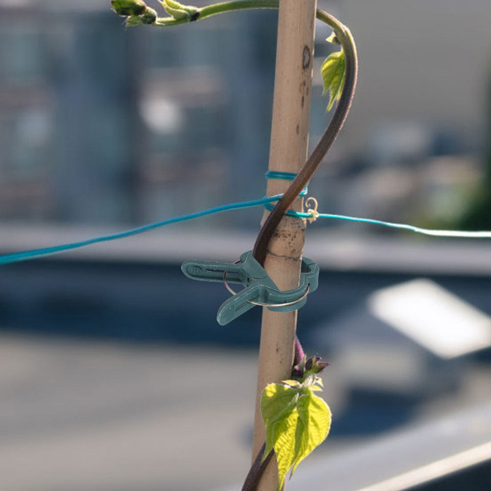 Vine Climbing Plastic - 50 Buah Klip Taman untuk Tanaman