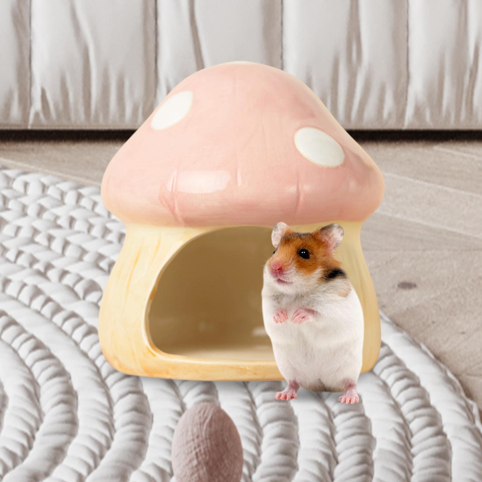 Hide Cave Ceramic - Keramik jamur Hamster Hideout Hamster menyembunyikan