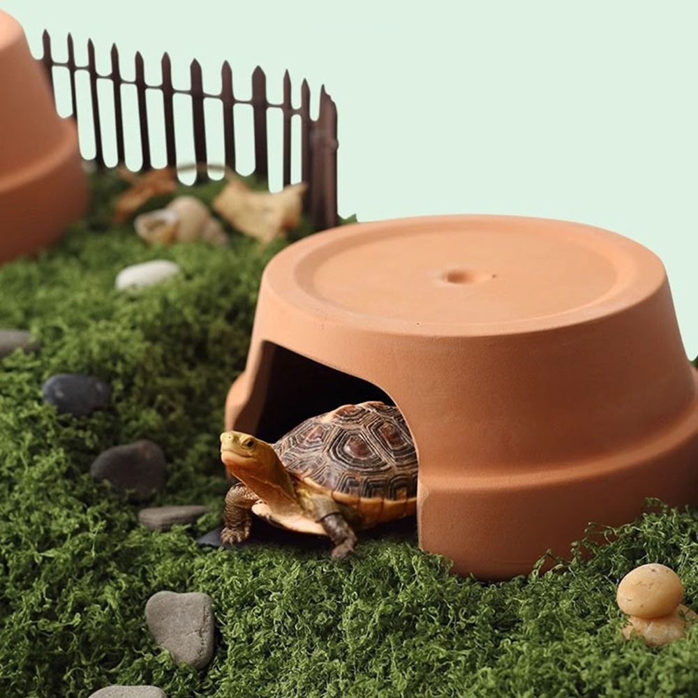 Kotak Tempat Persembunyian Rep - Hide Cave Ceramic ulasan dan harga
