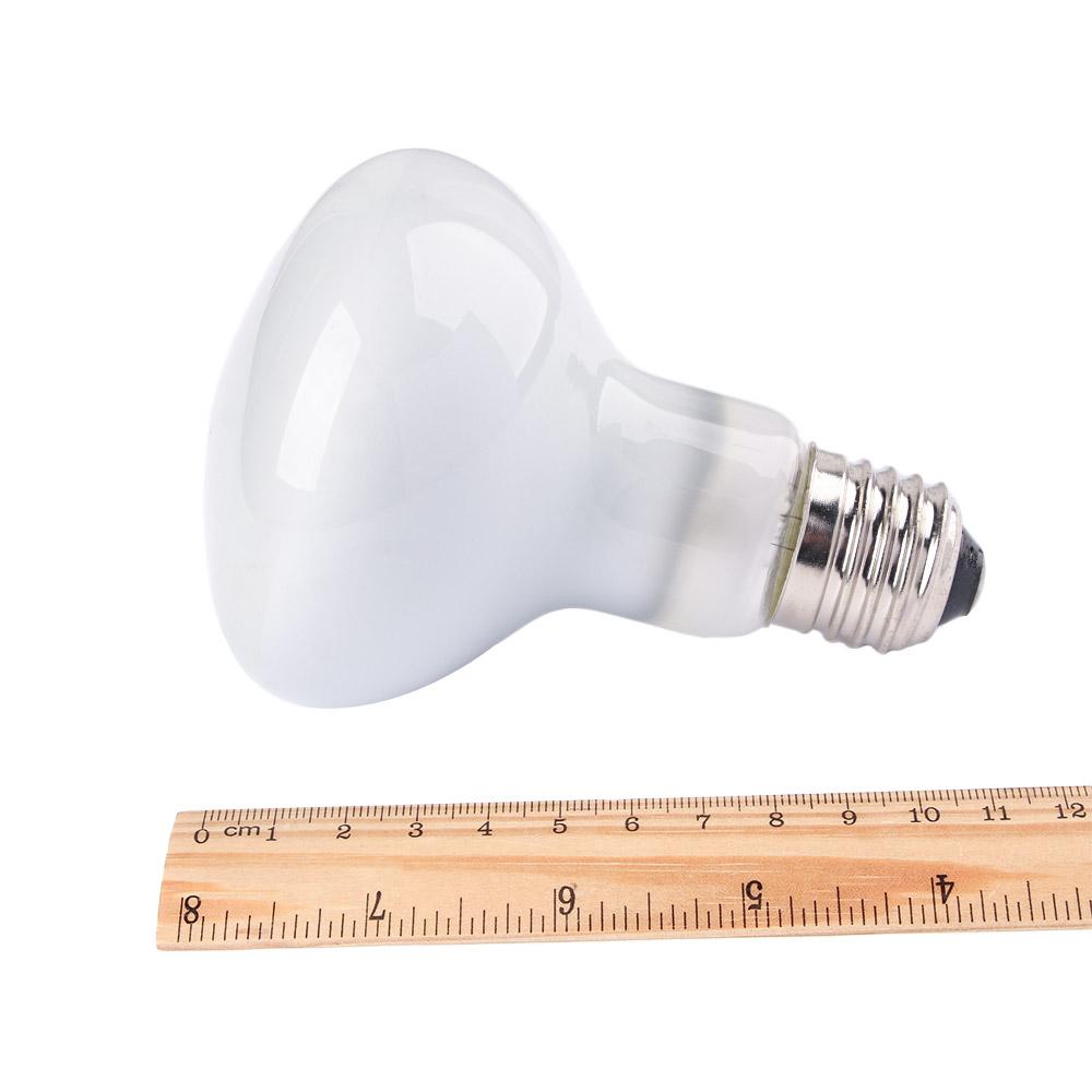 Lampu Pemanas Kadal Lampu UVA  - Basking Bulb Halogen ulasan dan harga
