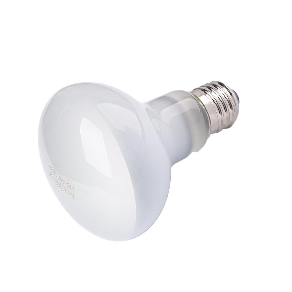Pengontrol Suhu Pemanas Kadal  - Basking Bulb Halogen ulasan dan harga