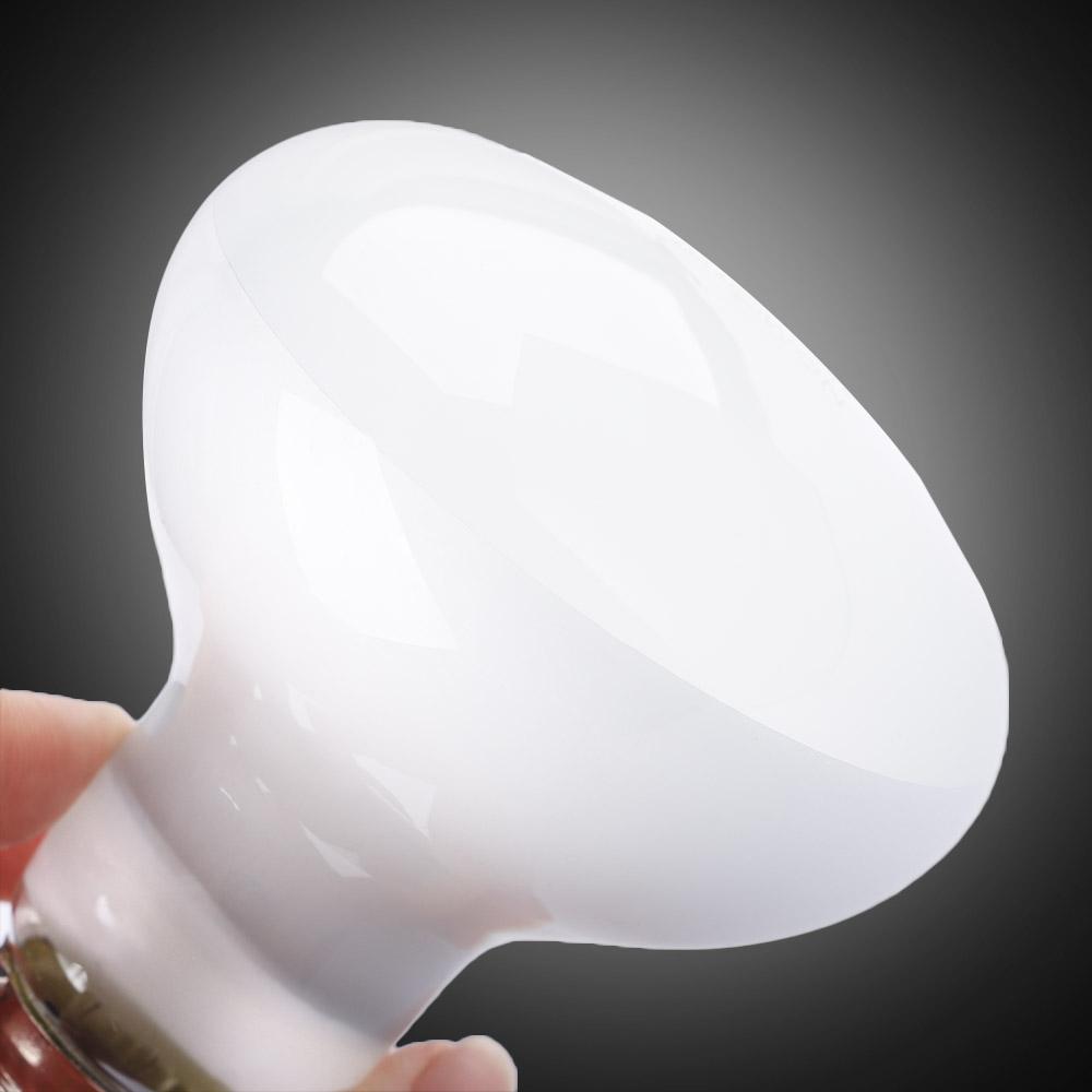 Pengontrol Suhu Pemanas Kadal  - Basking Bulb Halogen ulasan dan harga