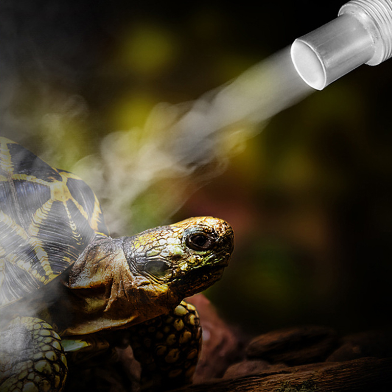 4L Reptil Terarium Humidifier  - Terrarium Fogger Ultrasonic ulasan dan harga