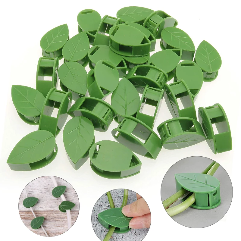 1-50 Buah Perangkat Panjat Din - Vine Climbing Plastic ulasan dan harga