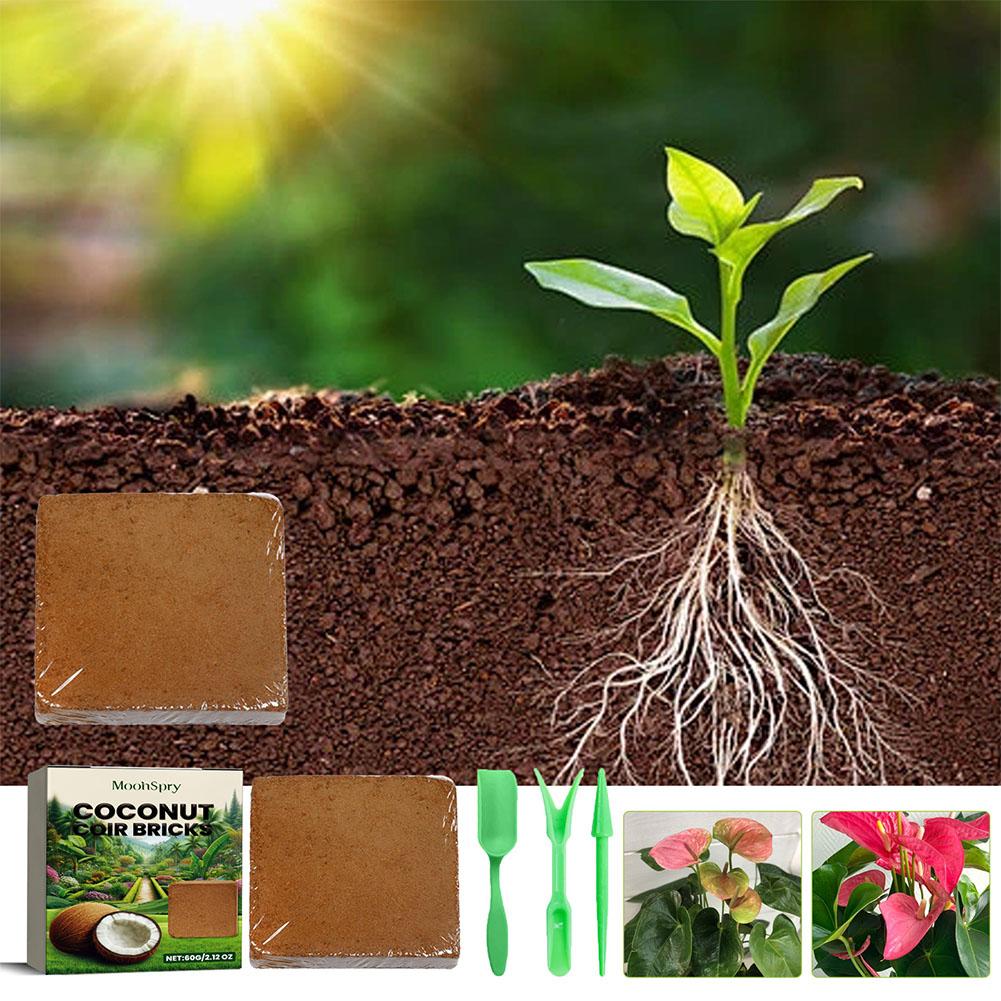 Reptile tanah kelapa Coir mene - Substrate Coconut Fiber ulasan dan harga
