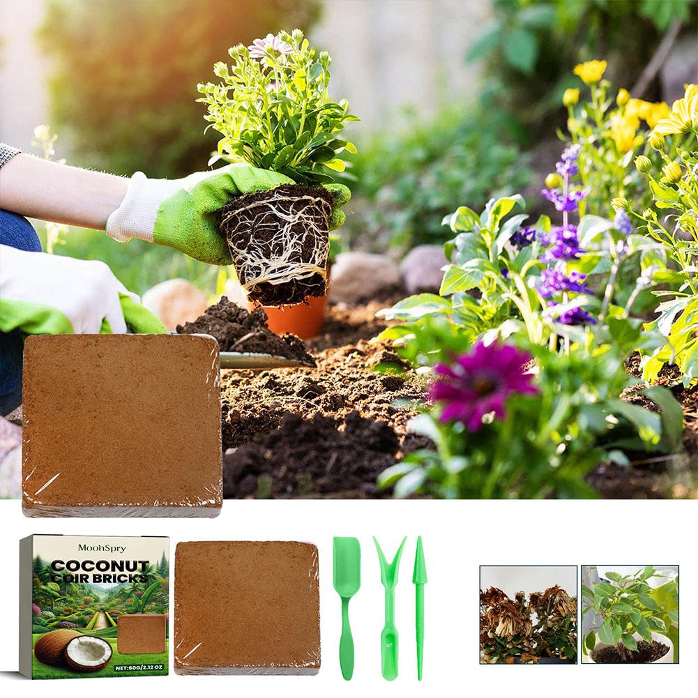 Reptile tanah kelapa Coir mene - Substrate Coconut Fiber ulasan dan harga