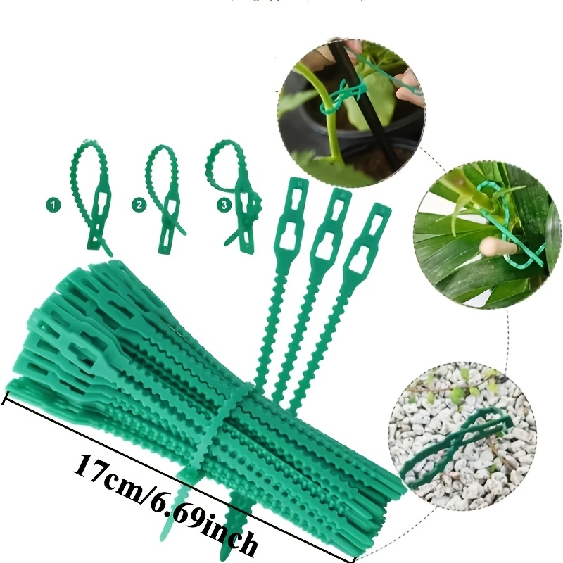 100 Buah Pengikat Tanaman Dapa - Vine Climbing Plastic ulasan dan harga