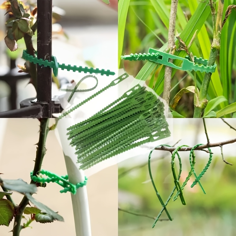 100 Buah Pengikat Tanaman Dapa - Vine Climbing Plastic ulasan dan harga