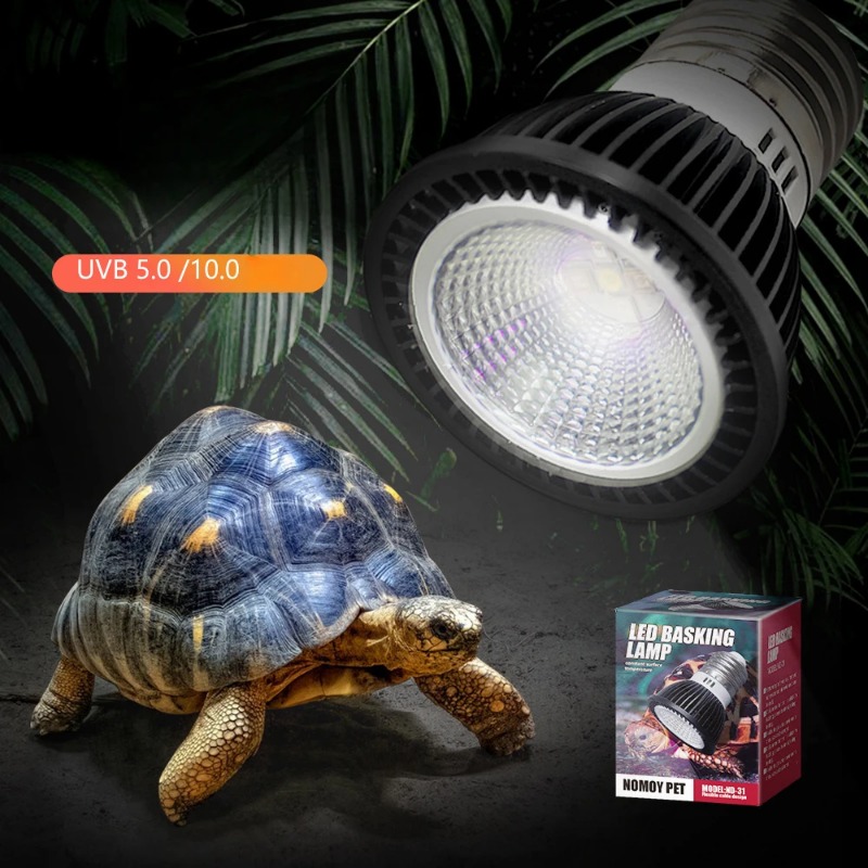 NOMOY Reptil 110/220V UVB + La - Calcium Powder Reptile ulasan dan harga