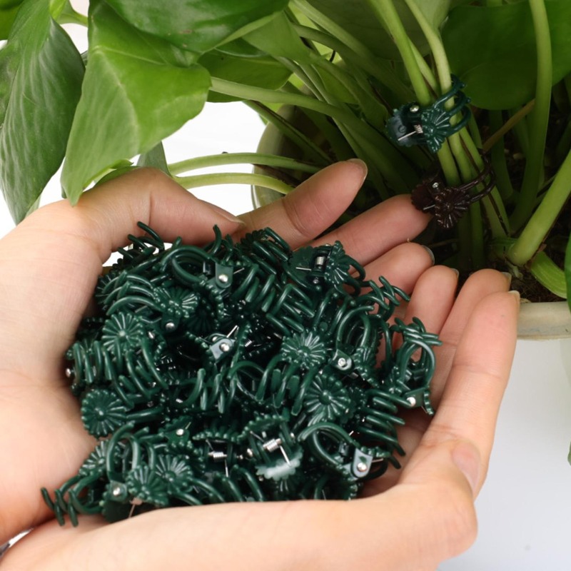 Klip Penyangga Tanaman Mini Gr - Vine Climbing Plastic ulasan dan harga