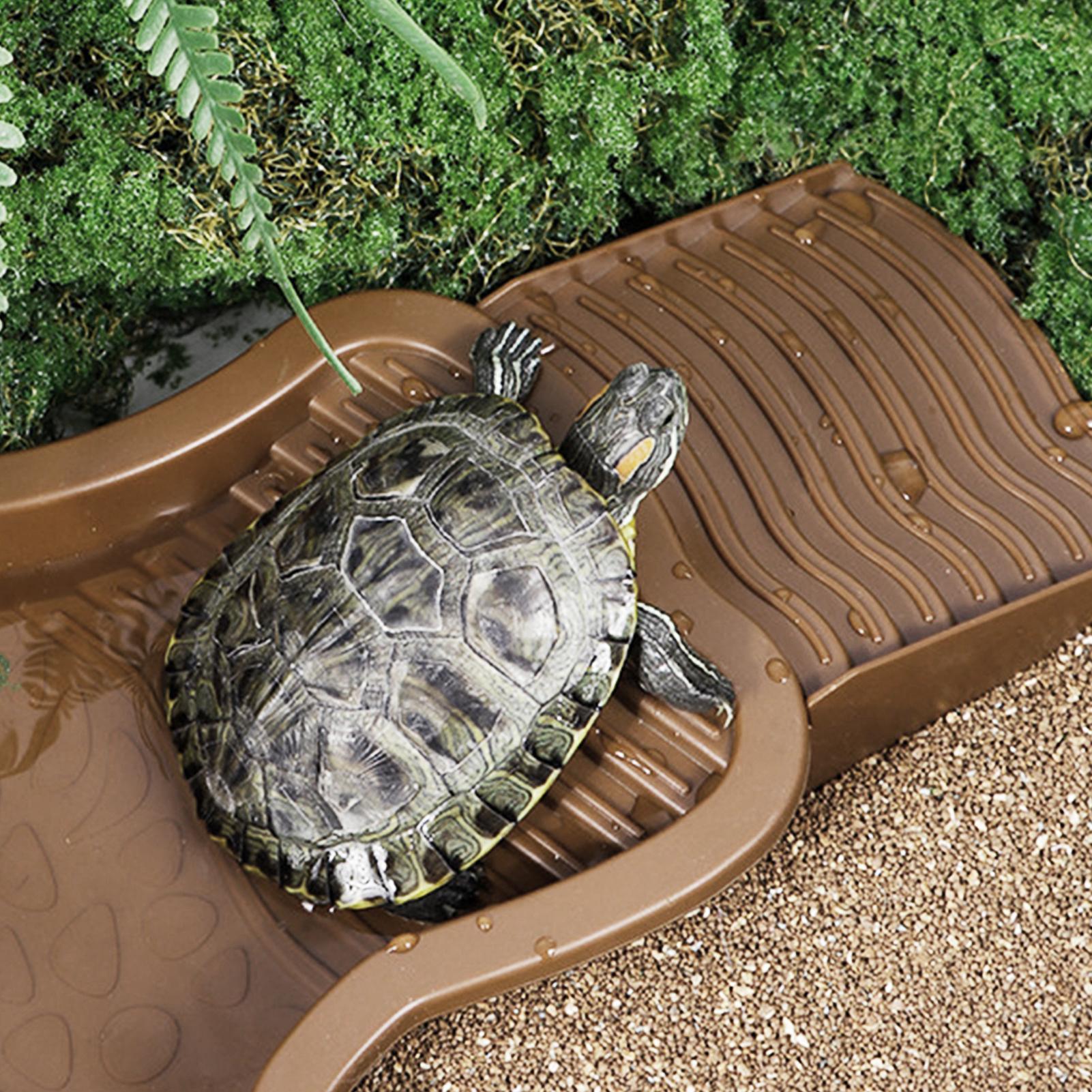 Kolam Mandi Reptil dengan Ramp - Water Dish Reptile ulasan dan harga