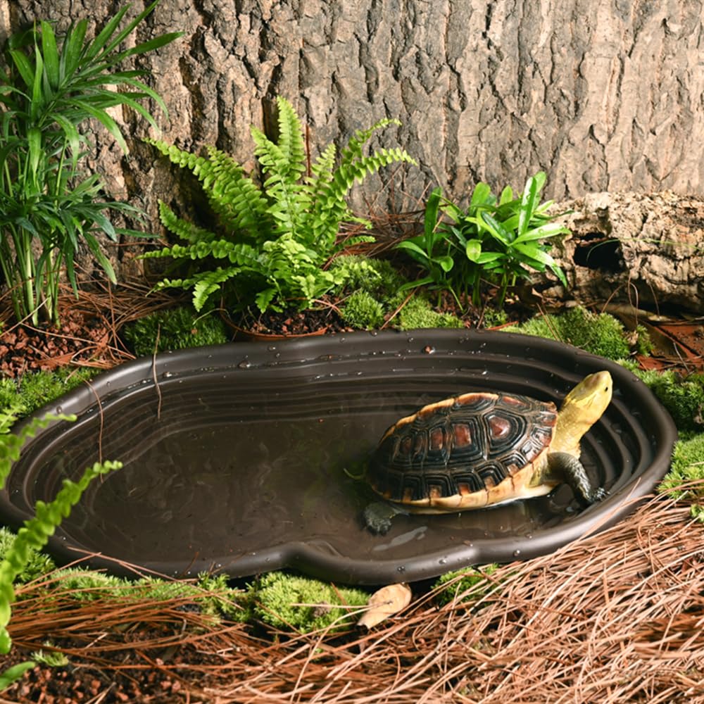 Tempat Mandi Reptil Habitat Am - Water Dish Reptile ulasan dan harga