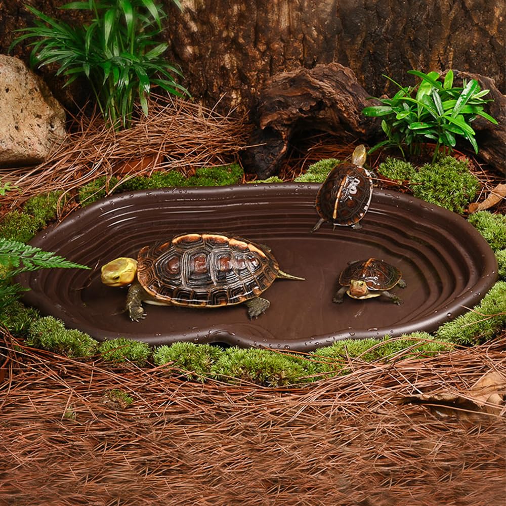 Tempat Mandi Reptil Habitat Am - Water Dish Reptile ulasan dan harga