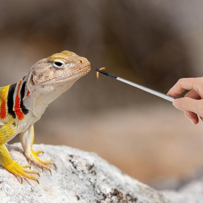 Penjepit makan reptil ekstra p - Feeding Tong Stainless ulasan dan harga