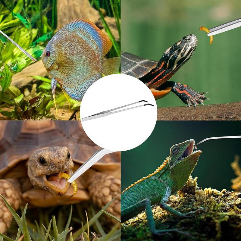 Penjepit makan reptil ekstra p - Feeding Tong Stainless ulasan dan harga