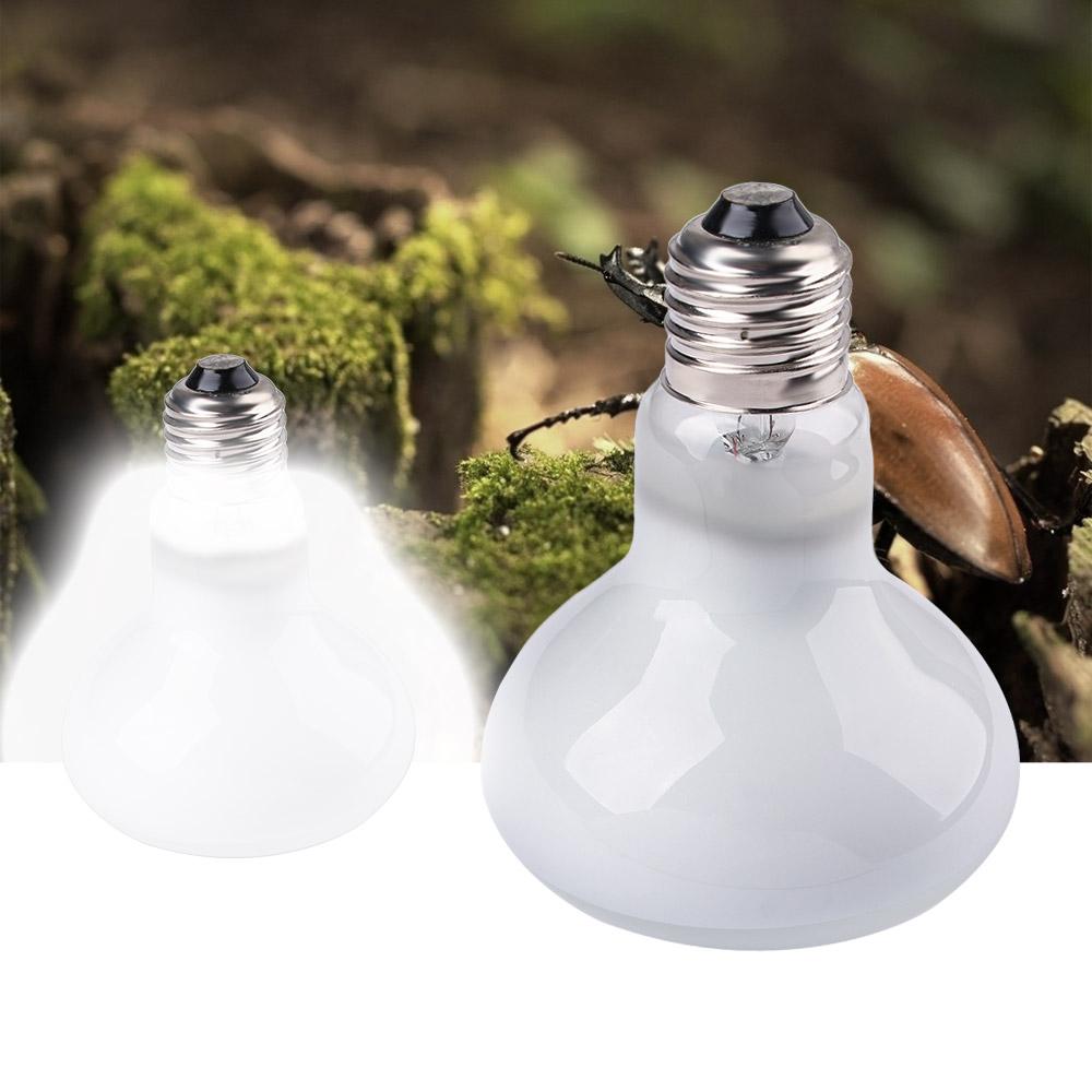 Lampu Pemanas Kura-kura Lampu  - Basking Bulb Halogen ulasan dan harga
