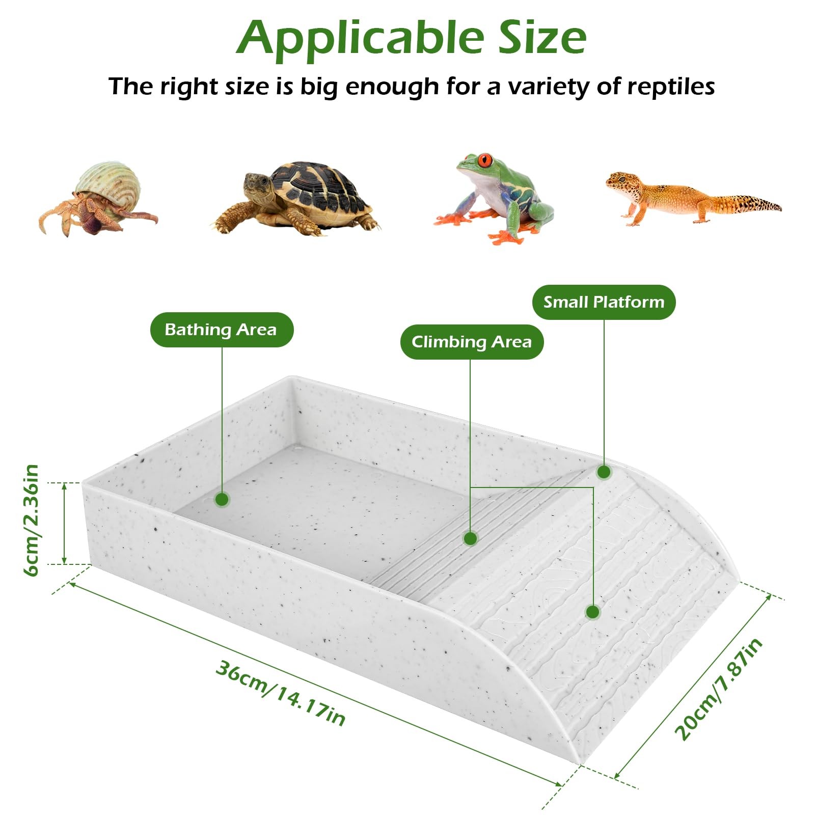 Piring mandi kura-kura Anti se - Water Dish Reptile ulasan dan harga