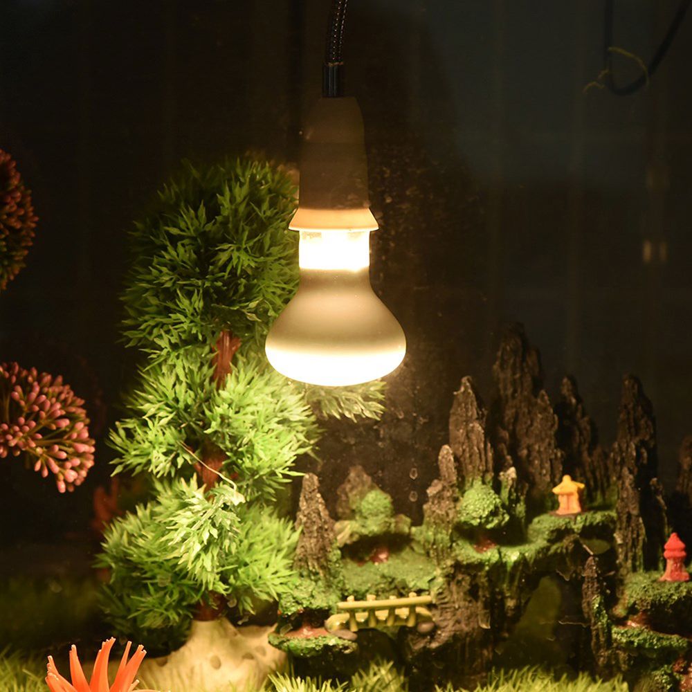 Lampu Pengontrol Suhu Kura-kur - Basking Bulb Halogen ulasan dan harga