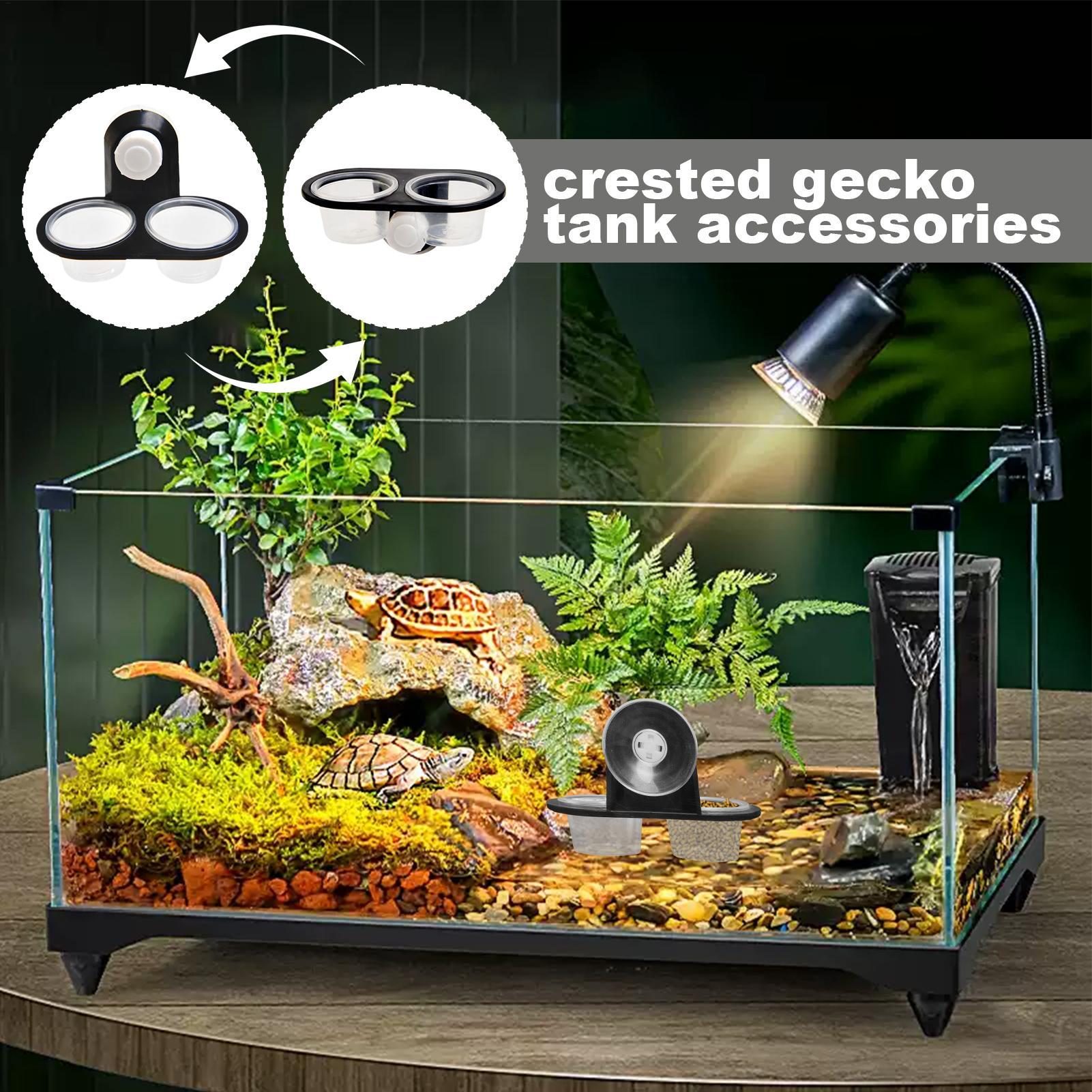 Tempat Makan dan Minum Gecko d - Water Dish Reptile ulasan dan harga