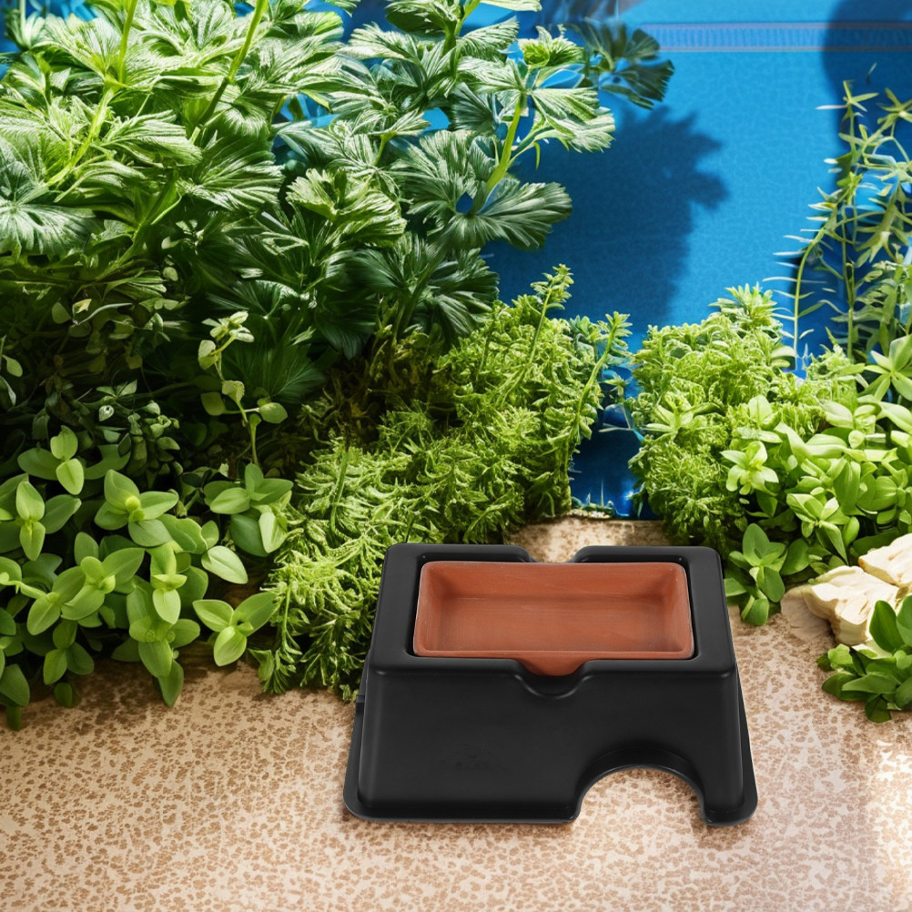 2 Buah Tempat Persembunyian Ka - Hide Cave Ceramic ulasan dan harga
