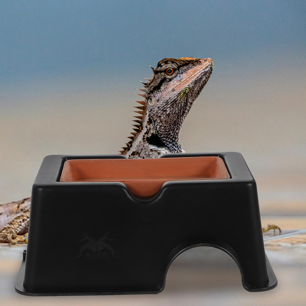 2 Buah Tempat Persembunyian Ka - Hide Cave Ceramic ulasan dan harga