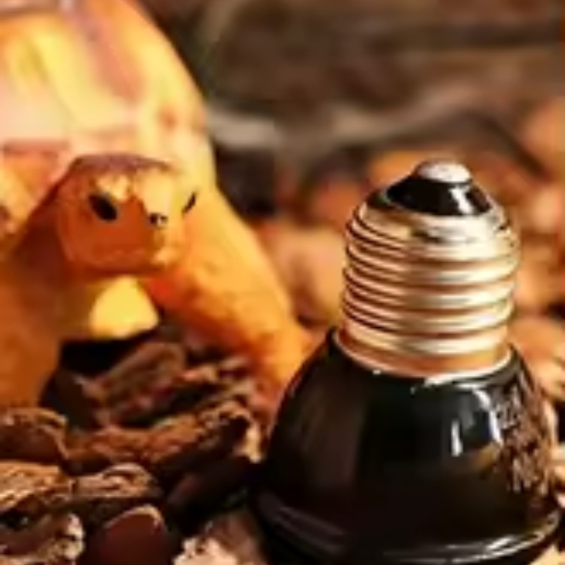 Lampu Inframerah Mini Keramik  - Ceramic Heat Emitter ulasan dan harga