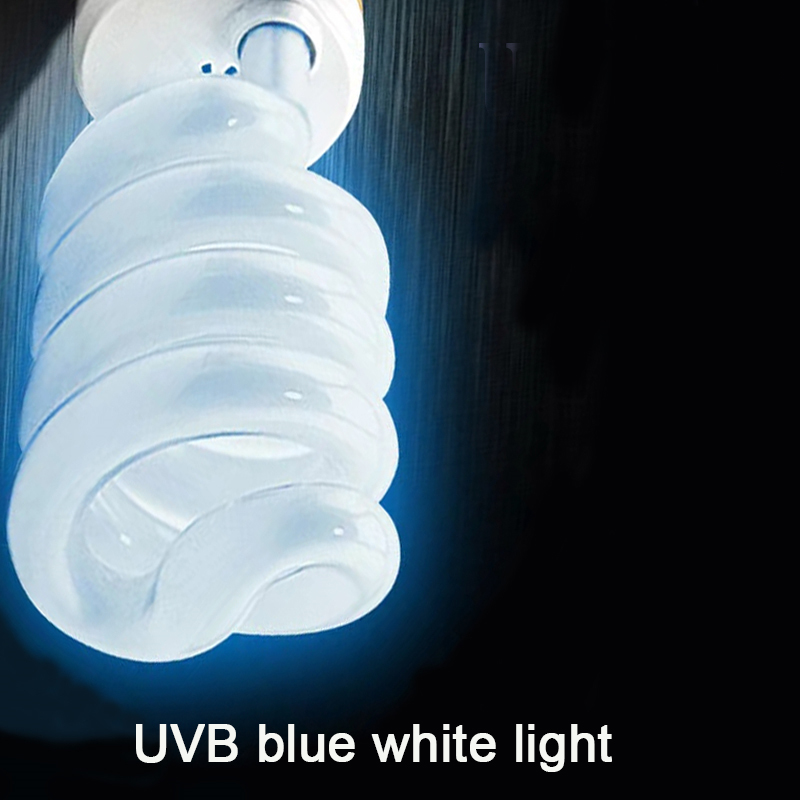 E27 13W/26W Lampu Reptil Uvb L - Calcium Powder Reptile ulasan dan harga