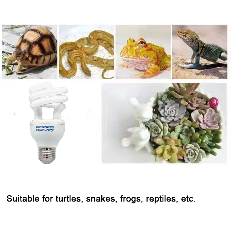 E27 13W/26W Lampu Reptil Uvb L - Calcium Powder Reptile ulasan dan harga