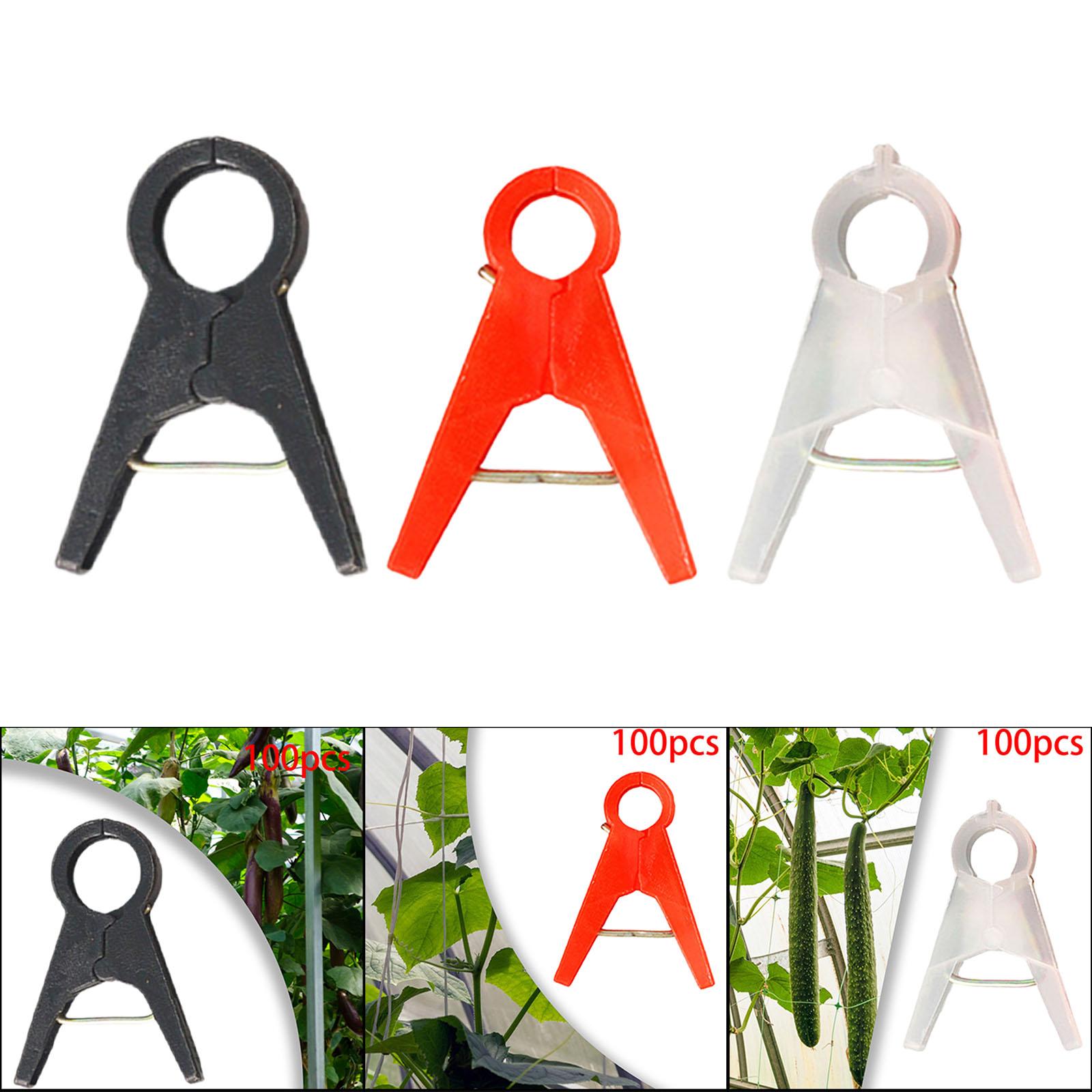 100 buah klip pendukung tanama - Vine Climbing Plastic ulasan dan harga