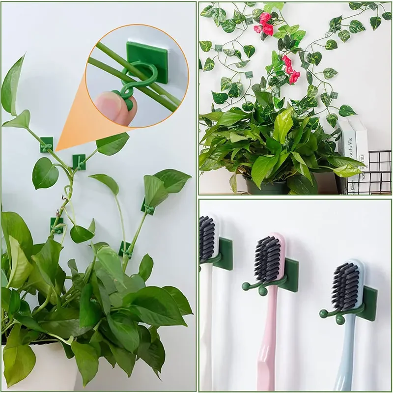 1/30/50 buah untuk pot taman & - Vine Climbing Plastic ulasan dan harga