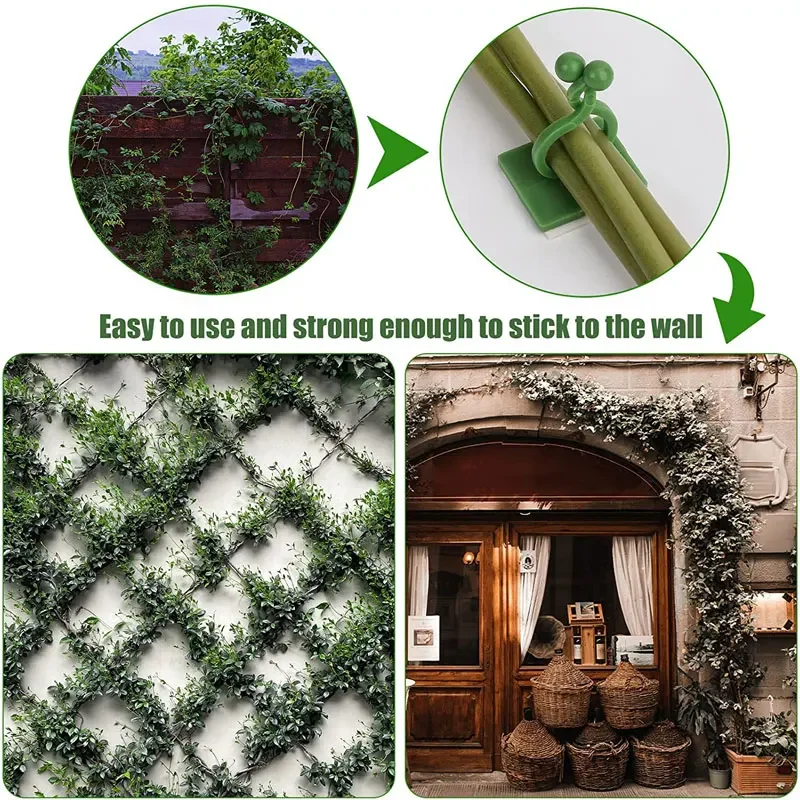 1/30/50 buah untuk pot taman & - Vine Climbing Plastic ulasan dan harga