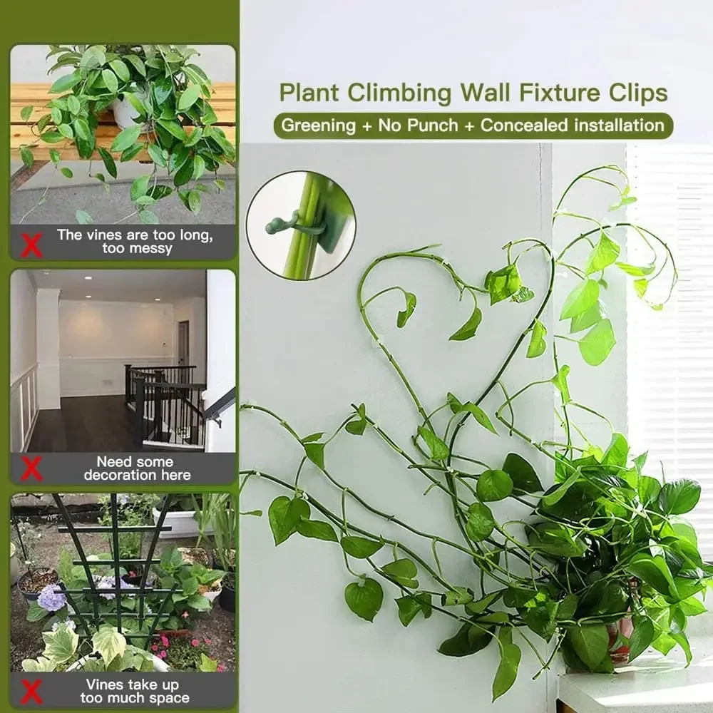 1/30/50 buah untuk pot taman & - Vine Climbing Plastic ulasan dan harga