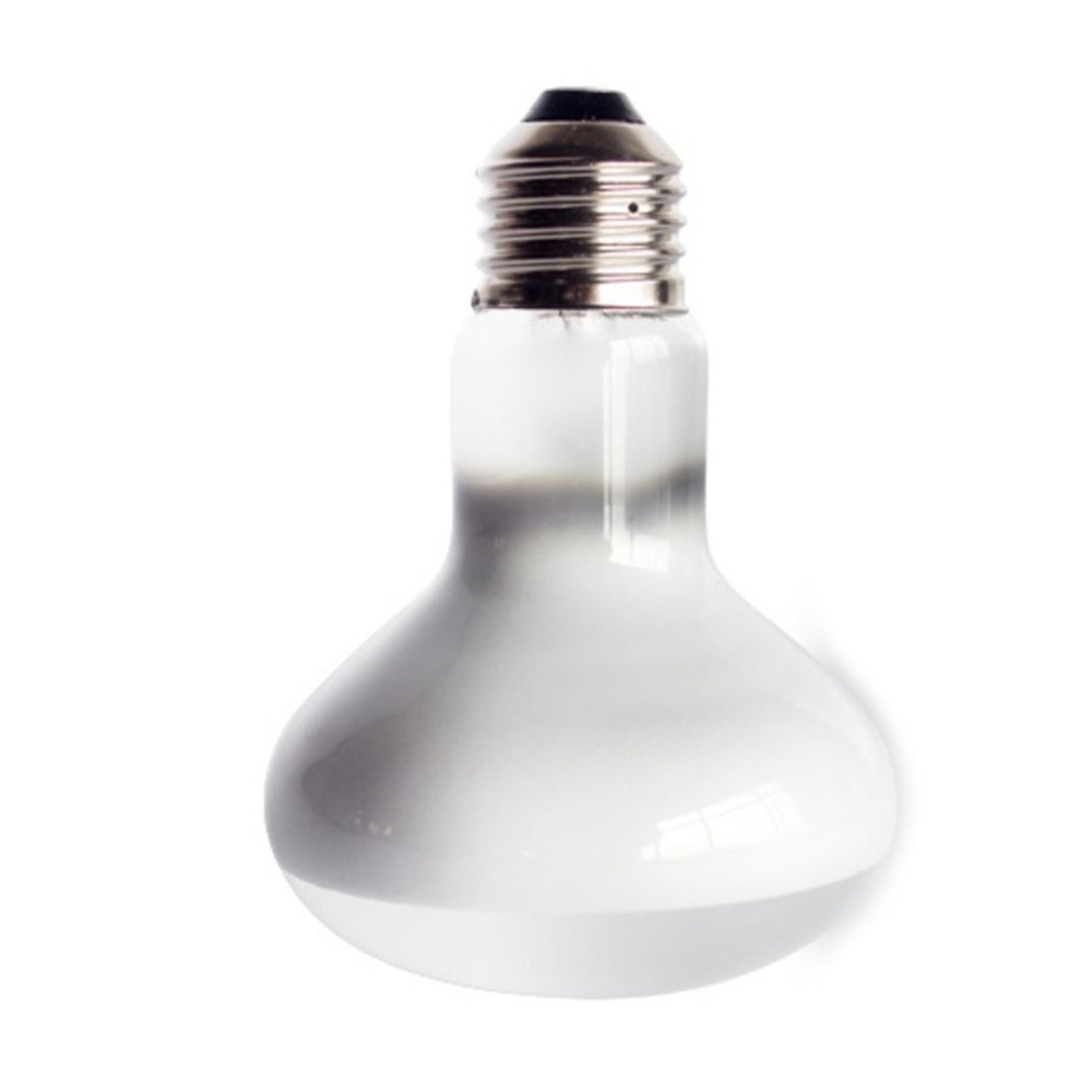 Pengontrol Suhu Kura-kura, Pem - Basking Bulb Halogen ulasan dan harga