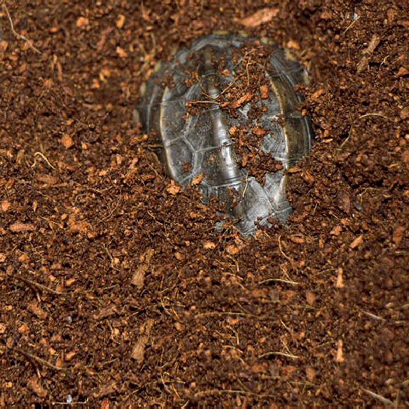 WAJABABY Bata Sabut Kelapa Sia - Substrate Coconut Fiber ulasan dan harga
