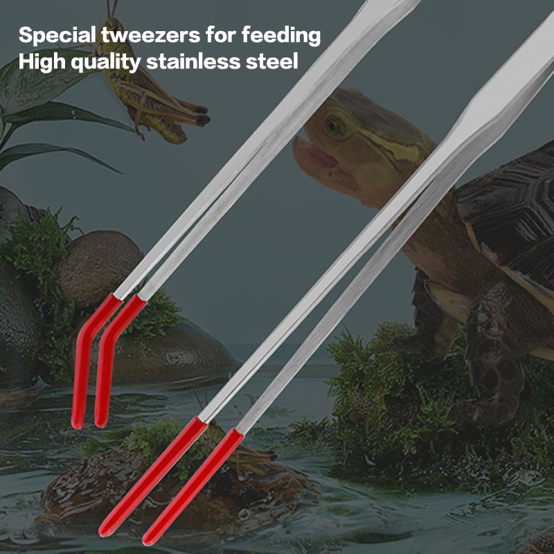 Penjepit Makan Reptil dengan U - Feeding Tong Stainless ulasan dan harga