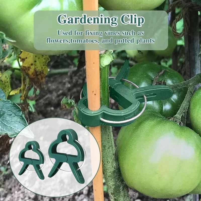 50 Klip Penjepit Tanaman yang  - Vine Climbing Plastic ulasan dan harga