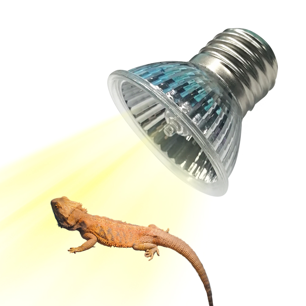 Lampu Pemanas Spektrum Penuh U - Calcium Powder Reptile ulasan dan harga