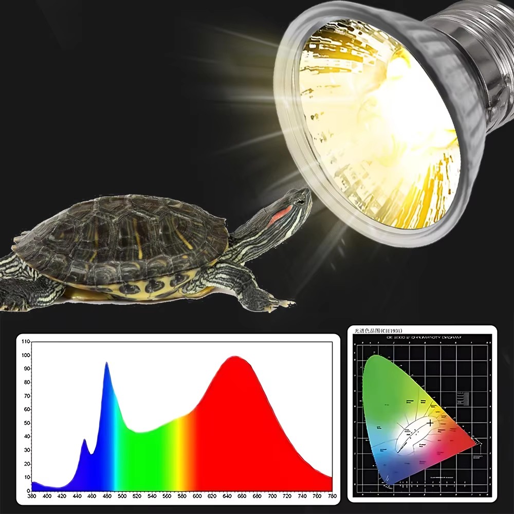Lampu Pemanas Spektrum Penuh U - Calcium Powder Reptile ulasan dan harga