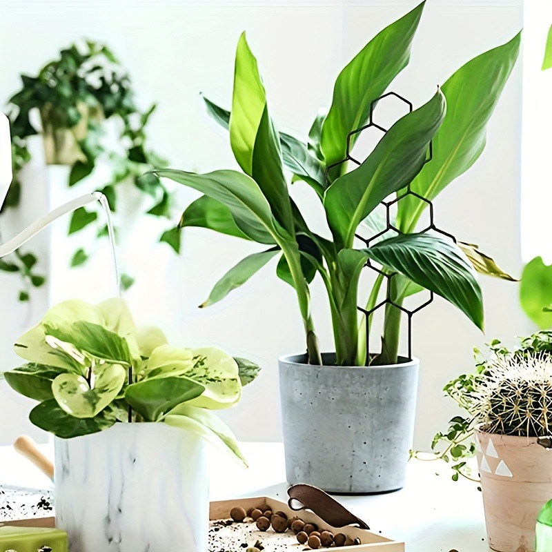 1 Buah Teralis Tanaman Desain  - Vine Climbing Plastic ulasan dan harga