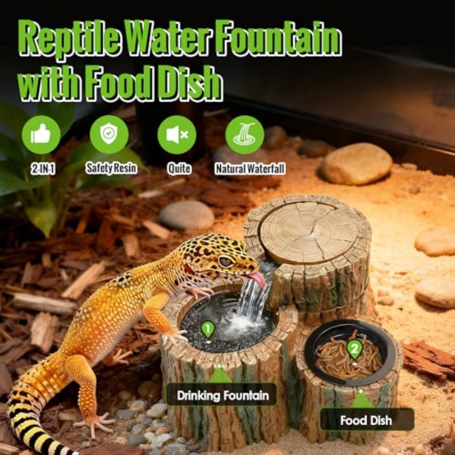 Tempat Minum Reptil 2 in 1 den - Water Dish Reptile ulasan dan harga